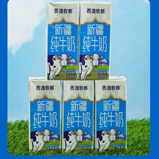 【预售】新疆西澳牧都纯牛奶 （20盒*200ml） 商品图1