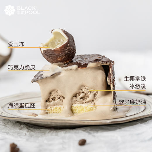 （冷冻保存）【生椰拿铁脆皮黑巧冰淇淋蛋糕】冬天的温度，咖啡的记忆 商品图5