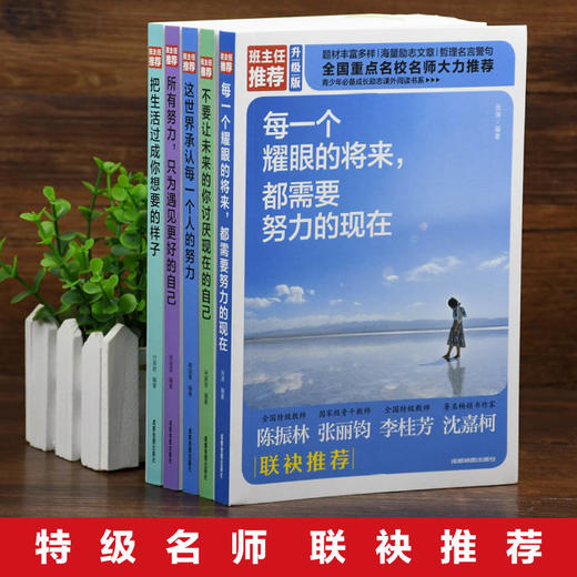 每一个耀眼的将来都需要努力的现在+不要让未来的你讨厌现在的自己+这世界承认每一个人的努力等5册励志成功鸡汤类书籍 商品图3