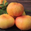 精品平谷大桃（多品种可选）（下雨期间无法采摘 桃子易坏 雨停后立刻发出 望理解） 商品缩略图3