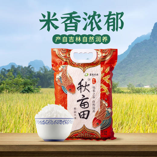 【吉林大米】秋亩田 吉林精品大米 2.5kg 商品图1