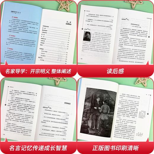 (仓发) 小游击队员 经典红色系列（ 中小学课外阅读，无障碍阅读）中小学革命传统教育读本/南方出版社/王愿坚/9787550156920 商品图4
