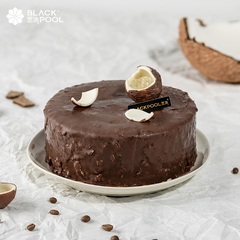 （冷冻保存）【生椰拿铁脆皮黑巧冰淇淋蛋糕】冬天的温度，咖啡的记忆