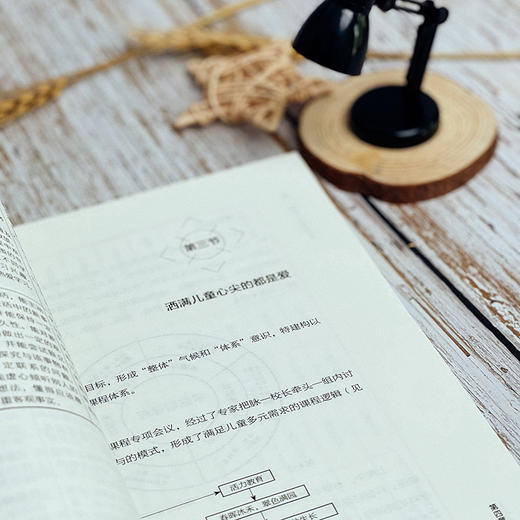 确定学校课程哲学 孙波 学校课程哲学提炼 课程品质提升 商品图10