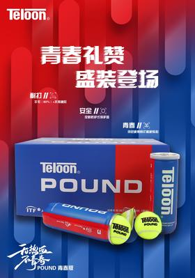 天龙 Teloon Pound 比赛训练耐打网球 3桶包邮