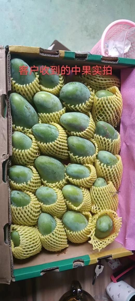 桂七芒果（云南） 商品图2