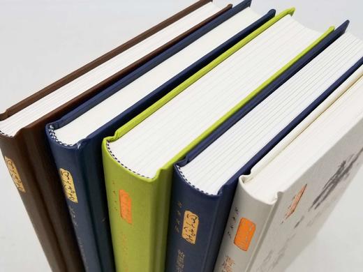 何以传世艺术丛书五种：

《朽者不朽：陈师曾和他的时代》《水中盐：文化艺术视角下的王国维》《青藤白阳作品的文化基因》《翰墨烟云：金城与京派画学社团》《家住苍茫落照间：陈半丁的艺术世界》，32开精装，人 商品图4