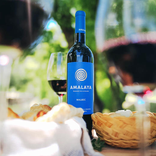 【Amalaya】阿玛拉雅马尔贝克混酿干红葡萄酒 阿根廷旗舰葡萄马尔贝克 1800米高海拔产区 橡木桶陈化8个月 多次获奖 草莓覆盆子水果香气夹杂一丝胡椒香 充满活力 750ml 商品图5