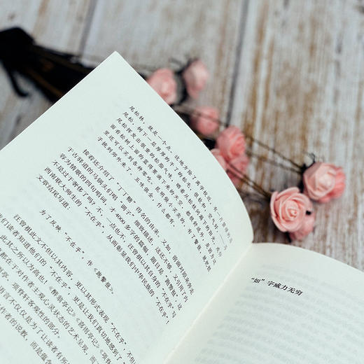 漫话文学语言 大夏书系 王尚文著 名家教育谈 语文教师 商品图6