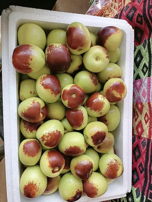 生态冬枣（有机转换）1.8kg/份 商品图5