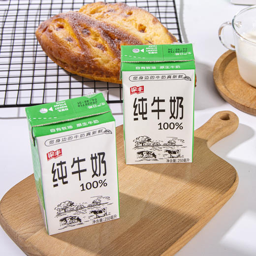 梁丰纯牛奶250ml*20盒（6个月保质期） 商品图3