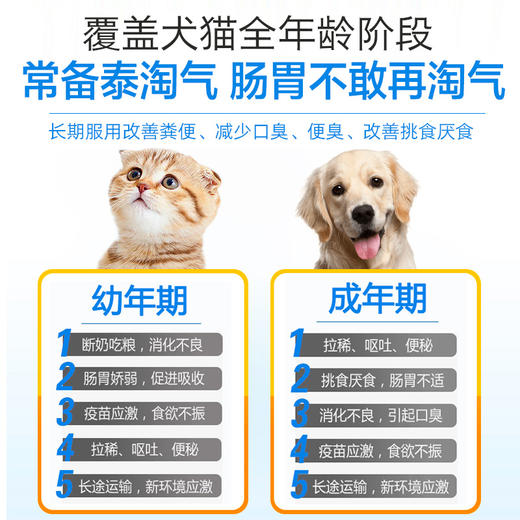 泰淘气犬猫通用宠物益生菌 整盒10包 商品图3