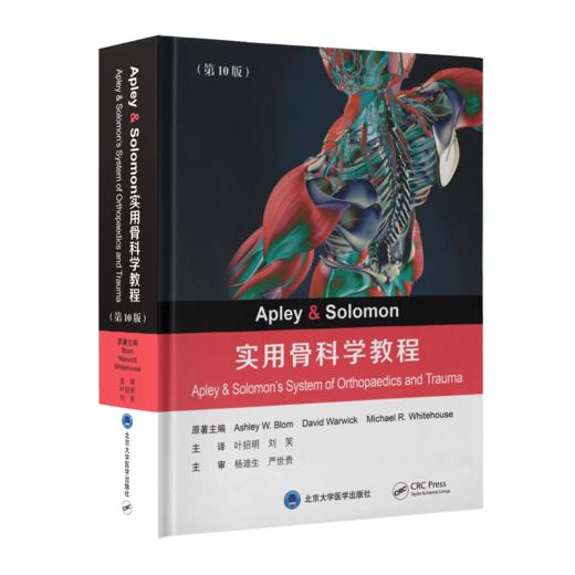 Apley & Solomon实用骨科学教程（第10版）叶招明　刘笑 主译  北医社 商品图0