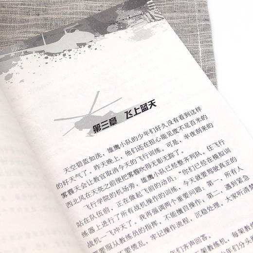 (仓发) 铁血战鹰队系列：展翅，獠牙战斗机！/接力出版社/八路/9787544850360 商品图5