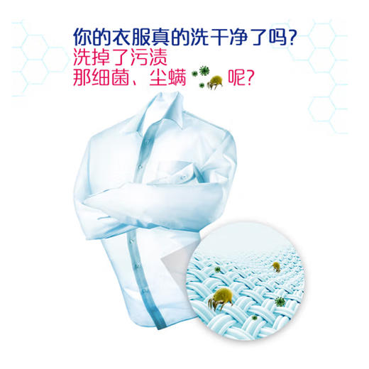 雕牌除菌无磷洗衣粉（薰衣草馨香）【4.2kg】 商品图1