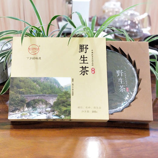 下党白茶  野生茶  350g/饼 商品图1