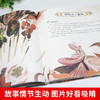 【精装】孩子可以读的封神演义（全4册）5岁+ 80篇儿童视角故事300幅手绘画卷 让孩子轻松读懂中华神话史诗 商品缩略图9