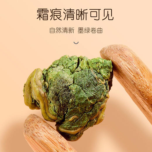 【福东海】 桑叶茶120克--MD 商品图3