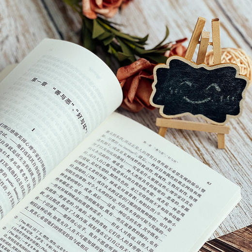 道德的谱系 西方传统 经典与解释 尼采注疏集 商品图7