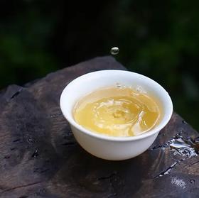 云南白茶和福建白茶有什么不同之处