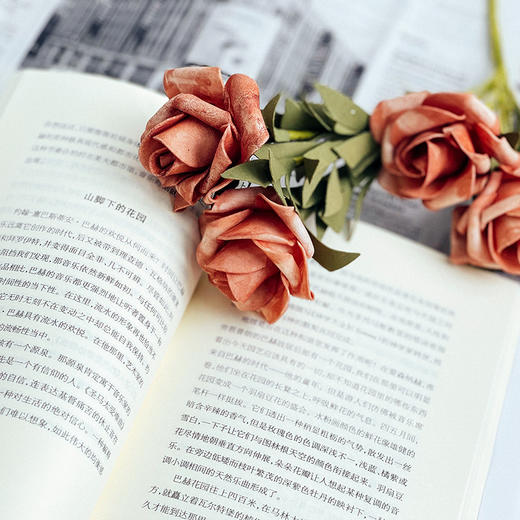 我们都是德国浪漫派 雅克·达拉斯著 曹胜超译 “轻与重”文丛 欧洲思想史 商品图7