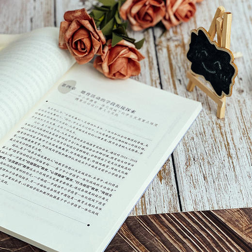 中小学德育一体化视域下的德育活动设计原理与实践  贾永春 徐晶星著 德育活动研究 商品图6