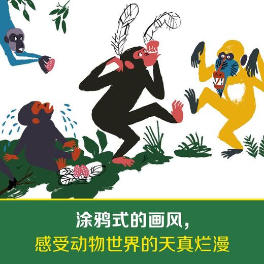 全都搞错啦! 商品图2