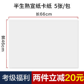 【庆学堂】66*46半生熟宣纸卡纸 考级专用