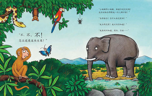 小猴子找妈妈(聪明豆绘本.珍藏版:《咕噜牛》作者经典绘本系列) 商品图6