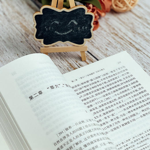 道德的谱系 西方传统 经典与解释 尼采注疏集 商品图9