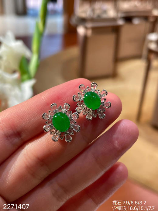 老坑冰艳绿蛋面耳钉   56999【2271407】 商品图1