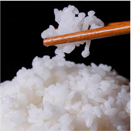 豪源东北珍珠米【5KG】 商品图1