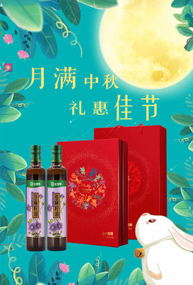 金膳狮 纯亚麻籽油礼盒500ml*2