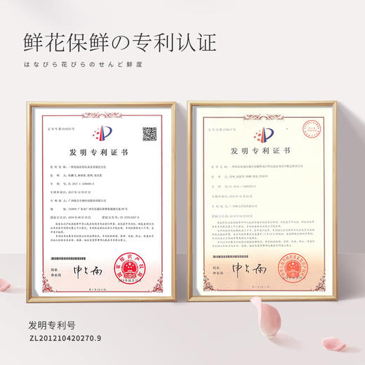 浅香(百合/晚樱)氨基酸沐浴露（花瓣沐浴露） 商品图2