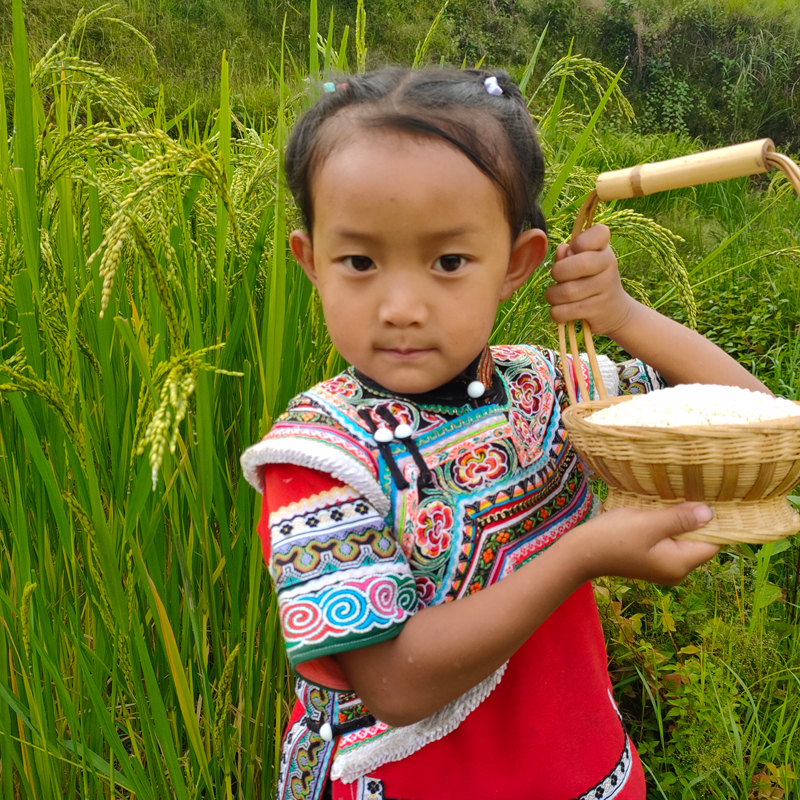 自然农法白糯米 1000克