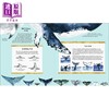 【中商原版】The Secret Life of Whales 鲸鱼的秘密生活 英文原版儿童精品绘本 自然与科学主题 Rena Ortega 6到9岁 商品缩略图2