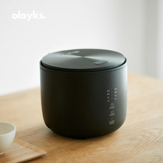 olayks欧莱克家用迷你电饭煲多功能全自动小型电饭锅1-2-3人 心选到家 商品图2