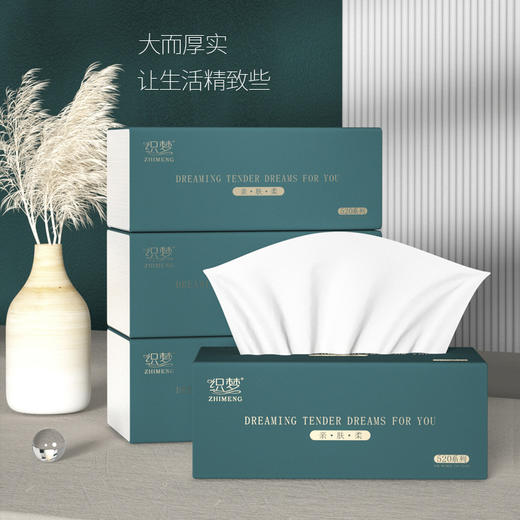 「20包整箱！五层加厚」大包抽纸巾家庭装卫生纸抽居家日用实惠装大规格餐巾纸擦手纸 商品图2