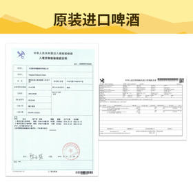 梅克伦堡比尔森500ml*24听 精酿整箱装 德国进口 京东自营 春日聚会畅饮