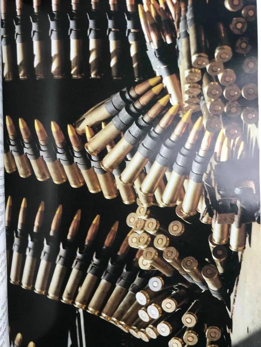 天空精神：二战中的飞机 100余幅插图 精装大16开 商品图12