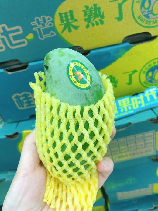 桂七芒3斤（拼团） 商品图1