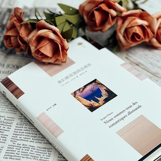 我们都是德国浪漫派 雅克·达拉斯著 曹胜超译 “轻与重”文丛 欧洲思想史 商品图5