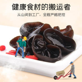 富昌 无根小片黑木耳200g/罐 秋木耳肉厚无根小秋耳 火锅食材煲汤材料