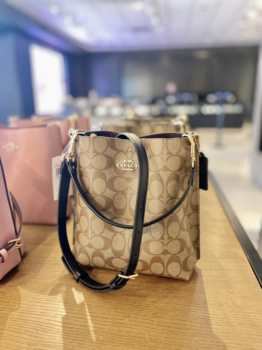 限时额外折扣💕巨好看！新款Coach Town Bucket 22小水桶‼️ 💰1480直邮包税 商品图7