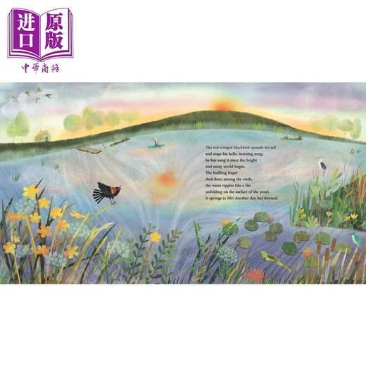 【中商原版】At the Pond 池塘边 英文原版儿童精品绘本 动物及动物故事主题 David Elliott 6到9岁 商品图1