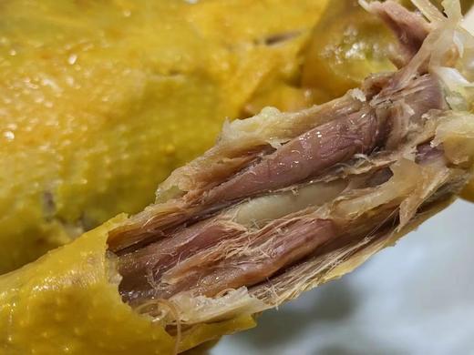 丨生态丨盐焗鸡  一正有机散养2年以上有机母鸡+秘制老汤，花椒，八角，盐，大料制作 无任何化学添加 商品图2