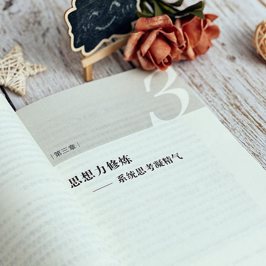 校长领导力修炼 大夏书系  学校领导力系列 校长培训 商品图7