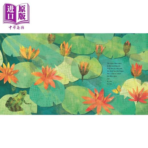 【中商原版】At the Pond 池塘边 英文原版儿童精品绘本 动物及动物故事主题 David Elliott 6到9岁 商品图2