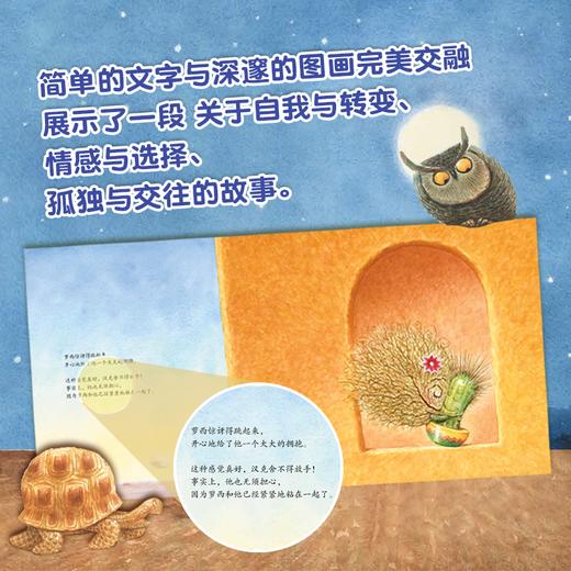 【入选大奖书单，4-8岁必读】抱抱仙人掌+火柴汤 精选名家绘本 2册 商品图7