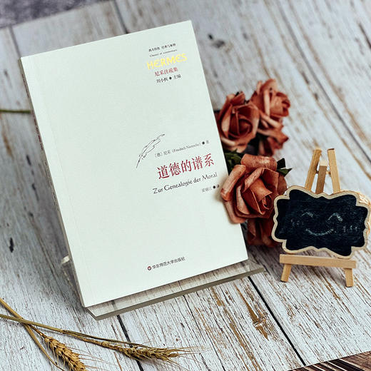 道德的谱系 西方传统 经典与解释 尼采注疏集 商品图4